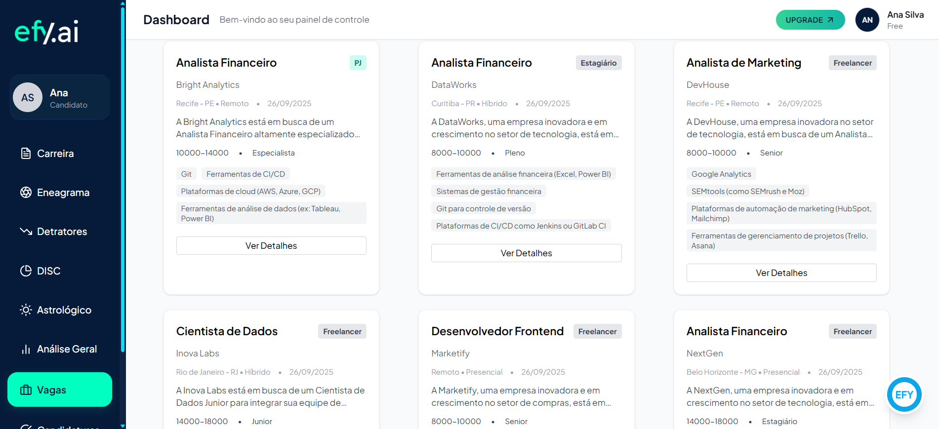 Dashboard da Plataforma EFY